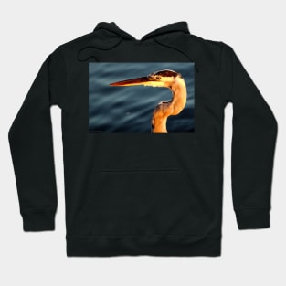 Golden Heron Hoodie